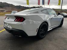 FORD Mustang Fastback 5.0 V8 GT Automat NITE PONY BLACK-PACK, Benzina, Auto nuove, Automatico - 7