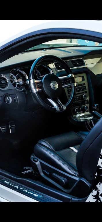 FORD Mustang Coupé 5.0 V8 GT Premium, Benzina, Occasioni / Usate, Manuale - 5