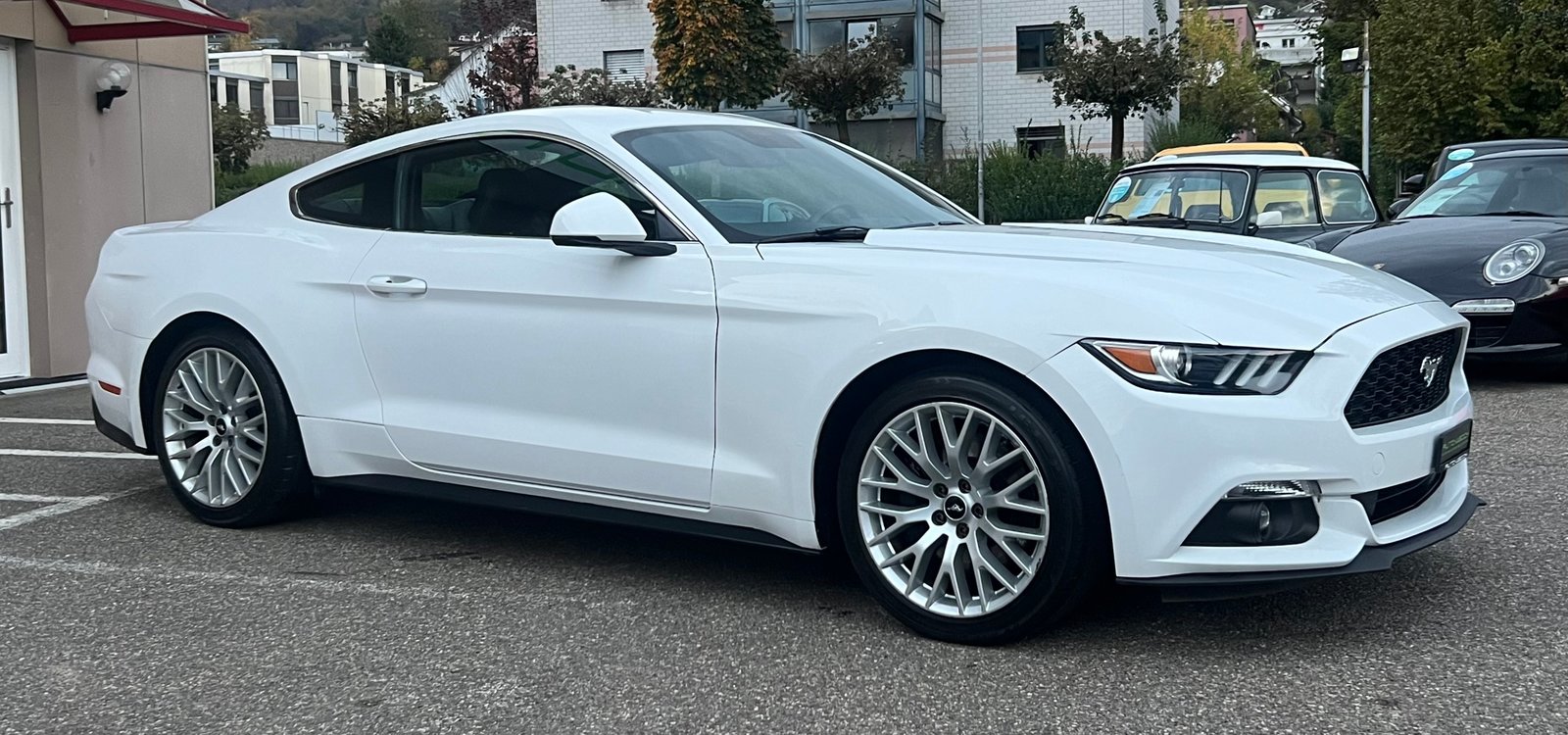 FORD Mustang Fastback 2.3, Benzina, Occasioni / Usate, Manuale - 2