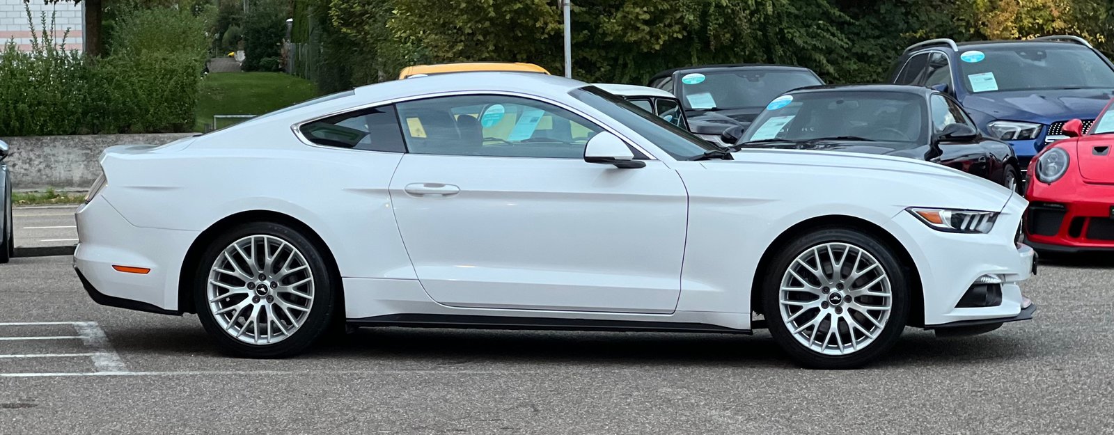 FORD Mustang Fastback 2.3, Benzina, Occasioni / Usate, Manuale - 3