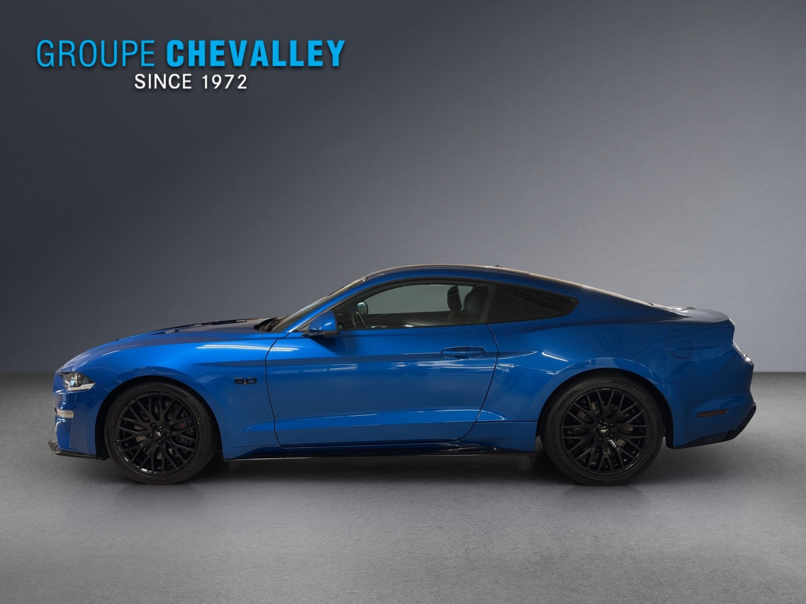 FORD Mustang FB 5.0 V8 GT, Benzin, Occasion / Gebraucht, Automatik - 3