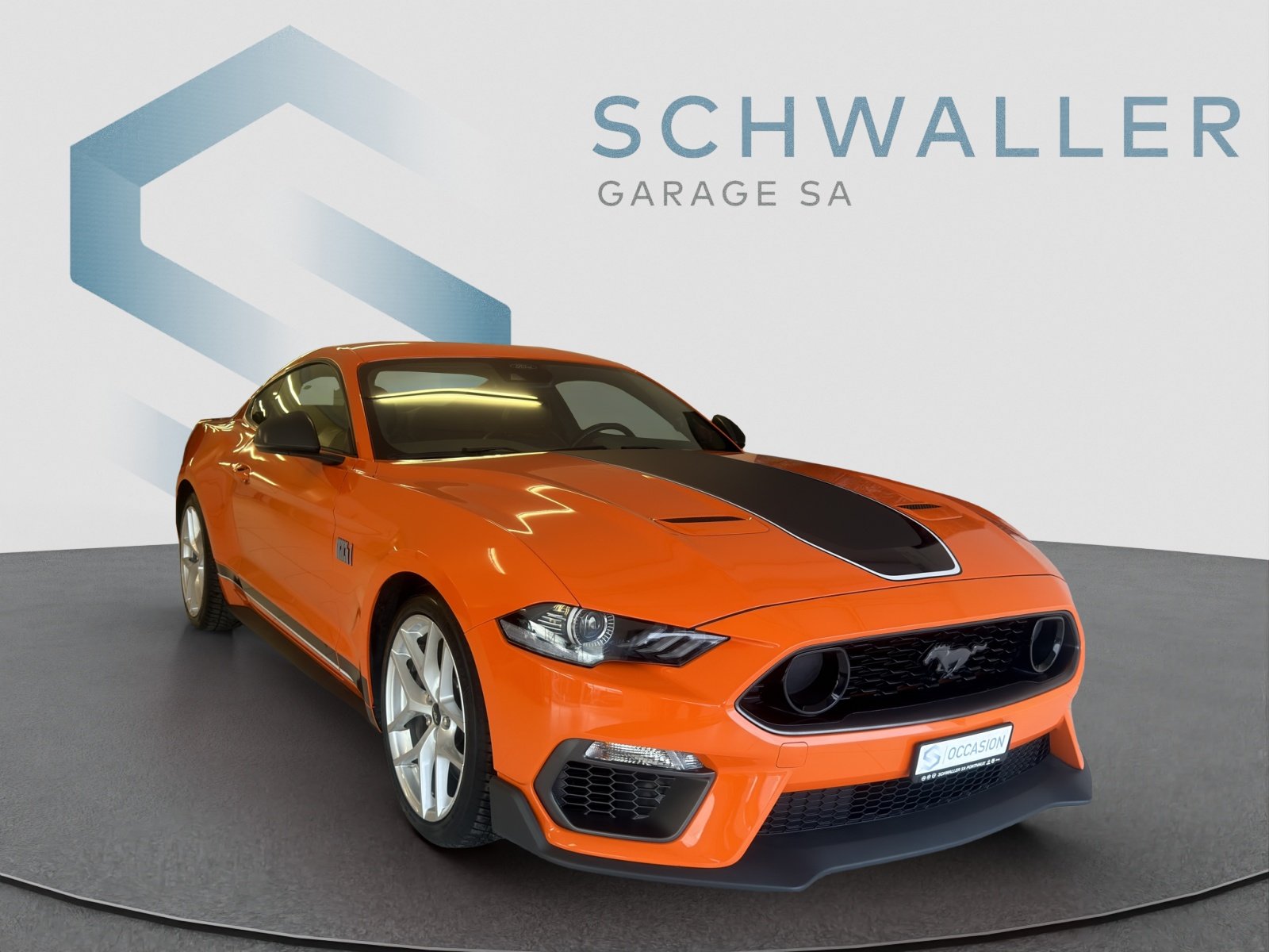 FORD Mustang Coupé 5.0 V8 Mach 1, Benzina, Occasioni / Usate, Automatico - 2