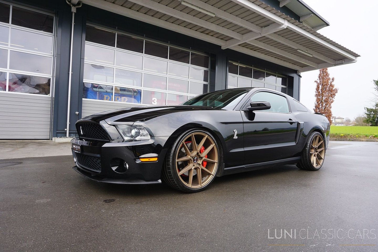 FORD Mustang Shelby GT500, Benzina, Occasioni / Usate, Manuale - 2