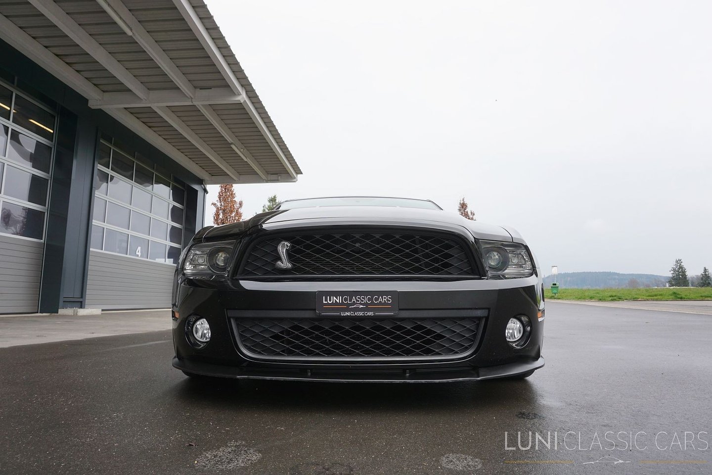 FORD Mustang Shelby GT500, Benzina, Occasioni / Usate, Manuale - 7