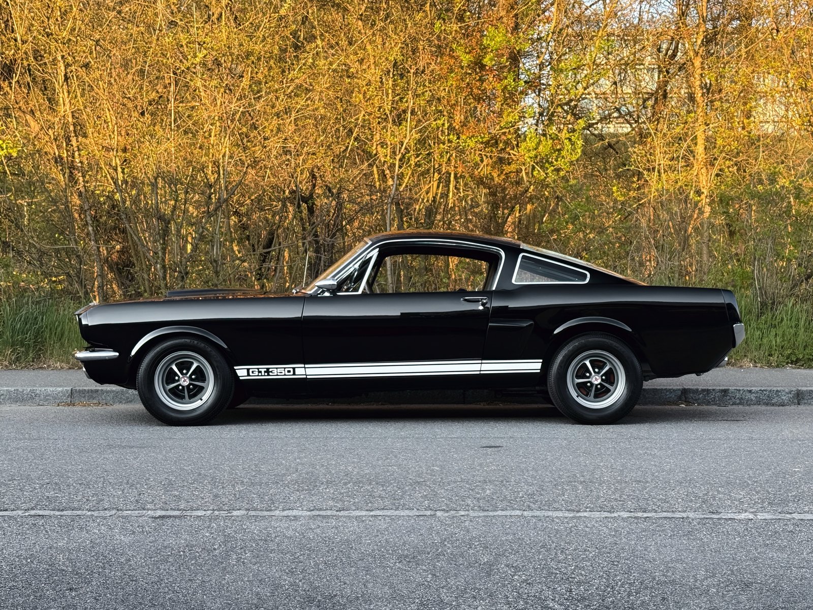 FORD Mustang Shelby GT 350, Petrol, Second hand / Used, Manual - 3