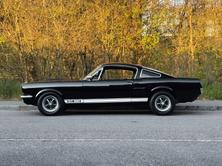 FORD Mustang Shelby GT 350, Benzina, Occasioni / Usate, Manuale - 3