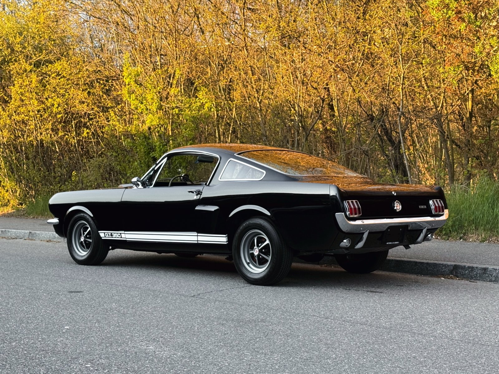 FORD Mustang Shelby GT 350, Petrol, Second hand / Used, Manual - 4