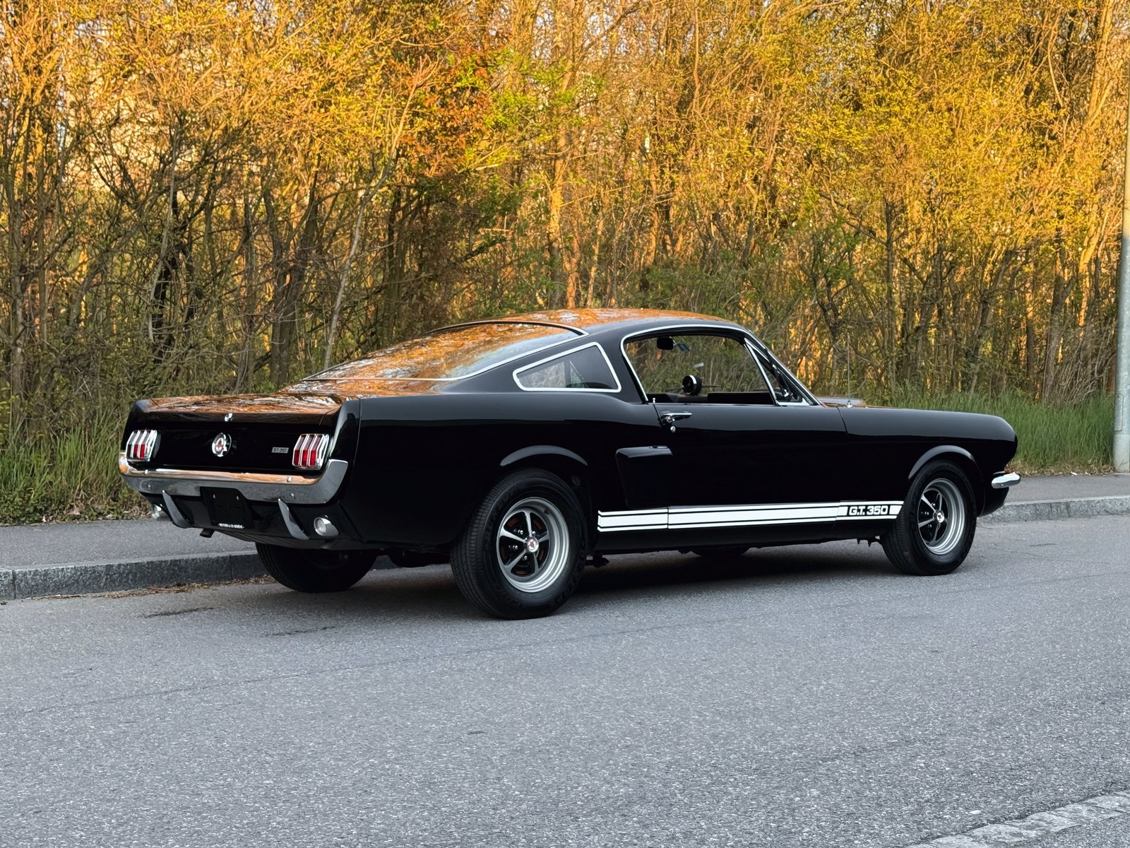 FORD Mustang Shelby GT 350, Petrol, Second hand / Used, Manual - 5