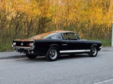 FORD Mustang Shelby GT 350, Benzina, Occasioni / Usate, Manuale - 5