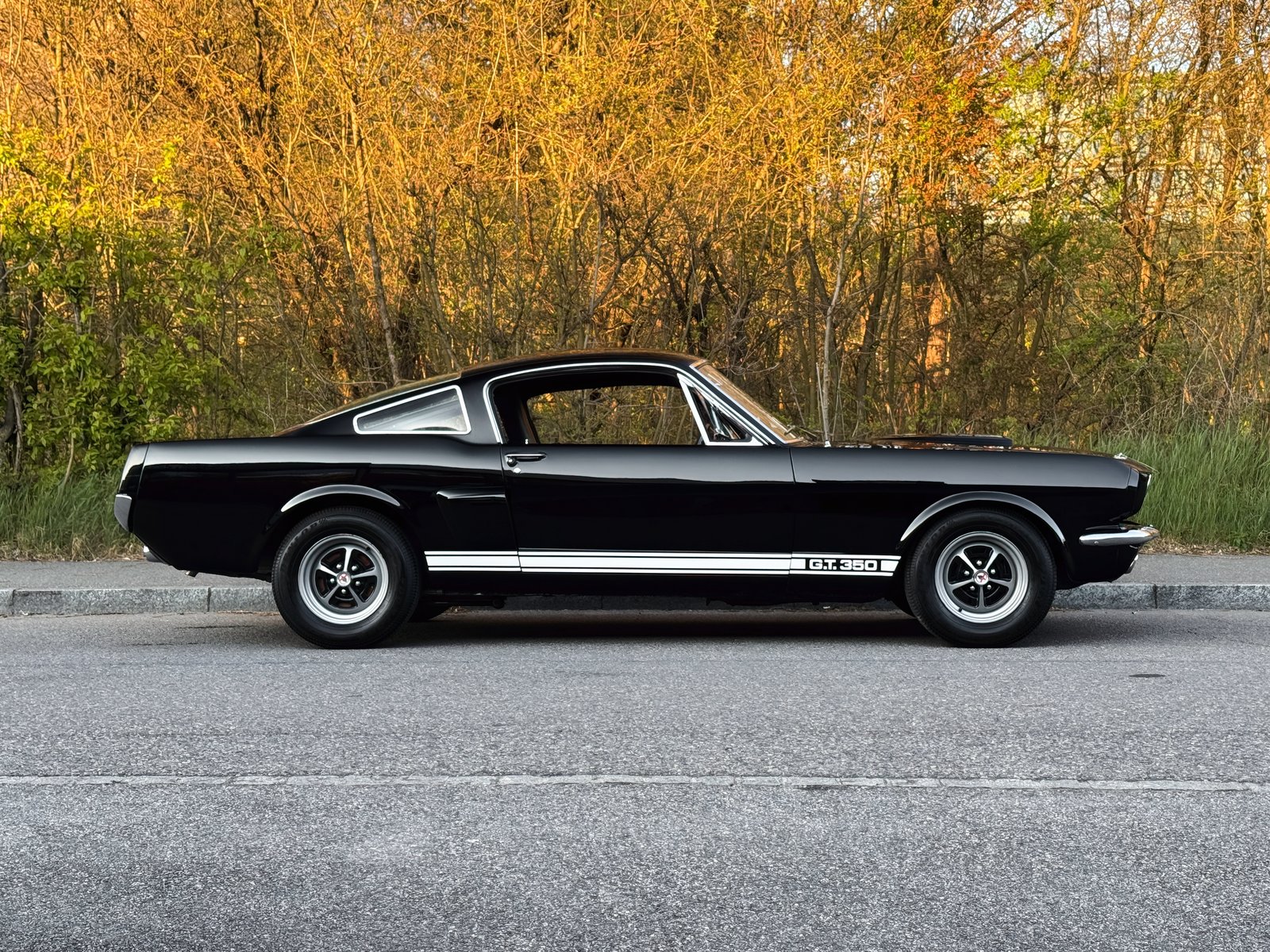 FORD Mustang Shelby GT 350, Petrol, Second hand / Used, Manual - 6