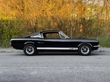 FORD Mustang Shelby GT 350, Benzina, Occasioni / Usate, Manuale - 6