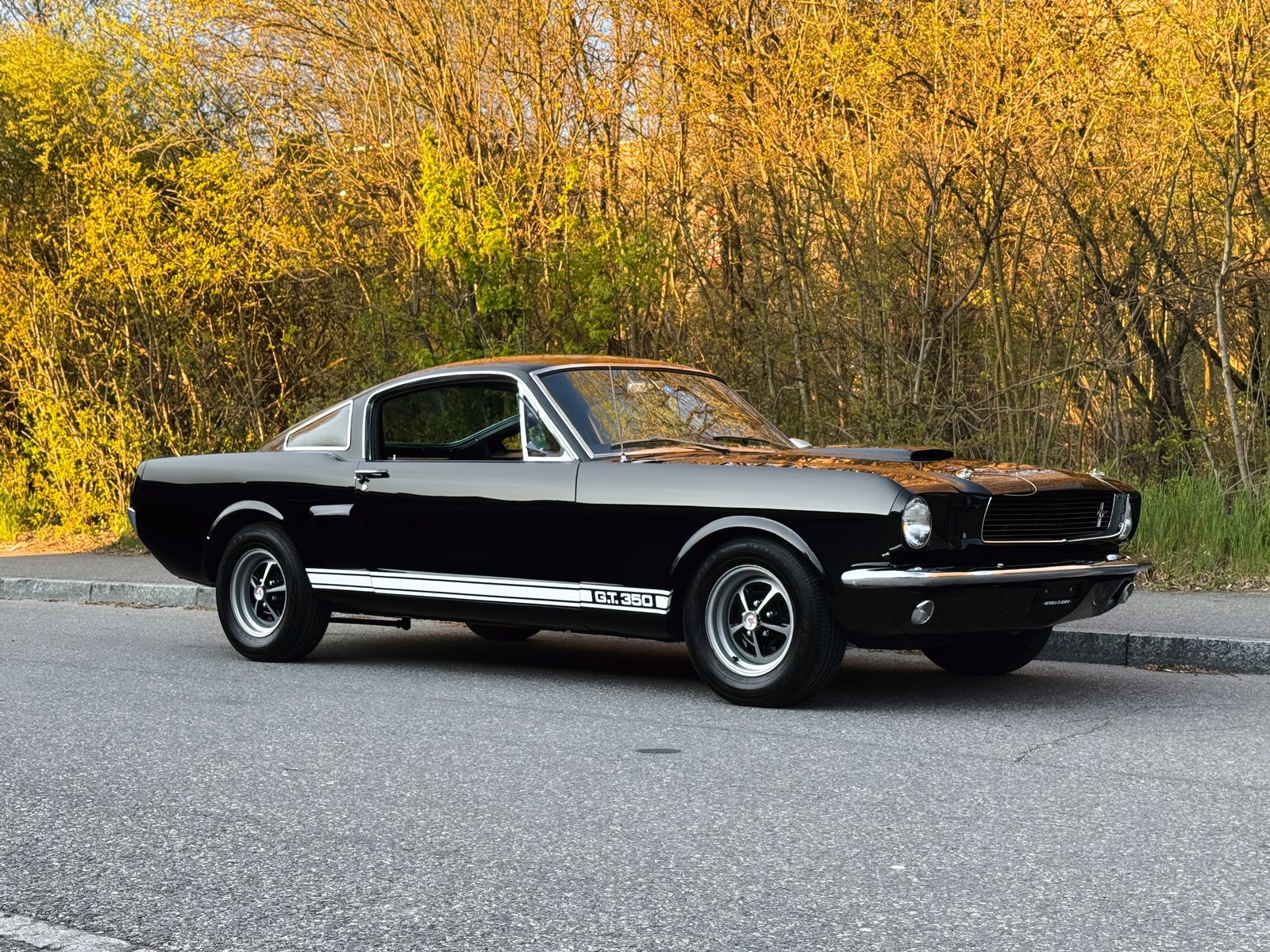 FORD Mustang Shelby GT 350, Petrol, Second hand / Used, Manual - 7