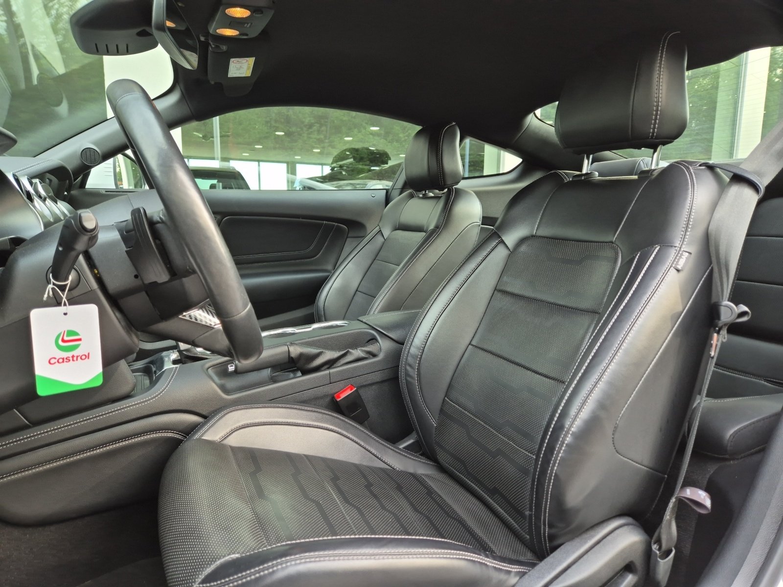 FORD Mustang Coupé 5.0 V8 GT, Essence, Occasion / Utilisé, Automatique - 6