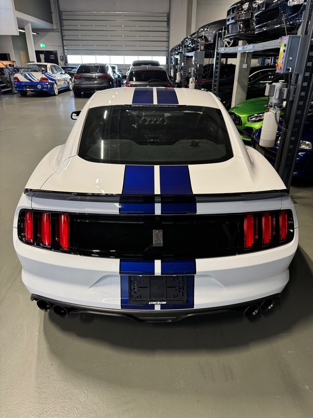FORD Mustang Shelby GT350 *RECARO*, Essence, Occasion / Utilisé, Manuelle - 4