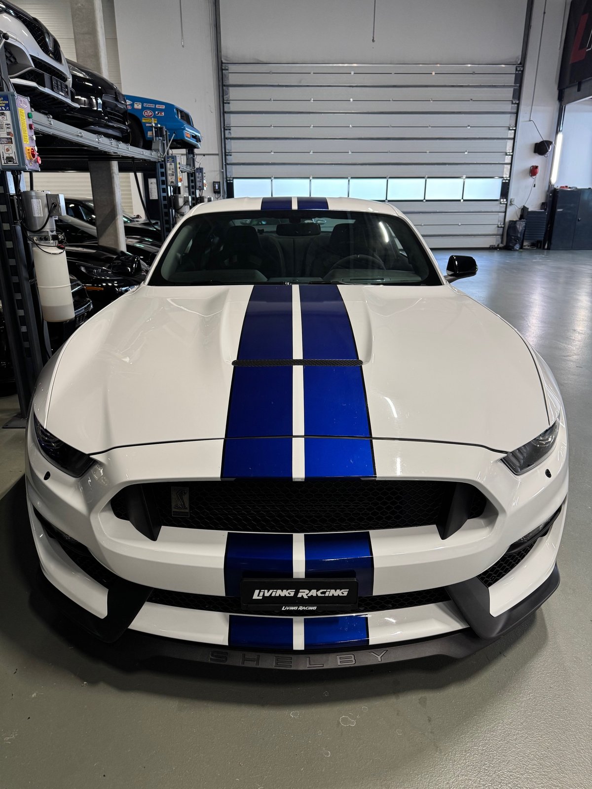 FORD Mustang Shelby GT350 *RECARO*, Essence, Occasion / Utilisé, Manuelle - 5