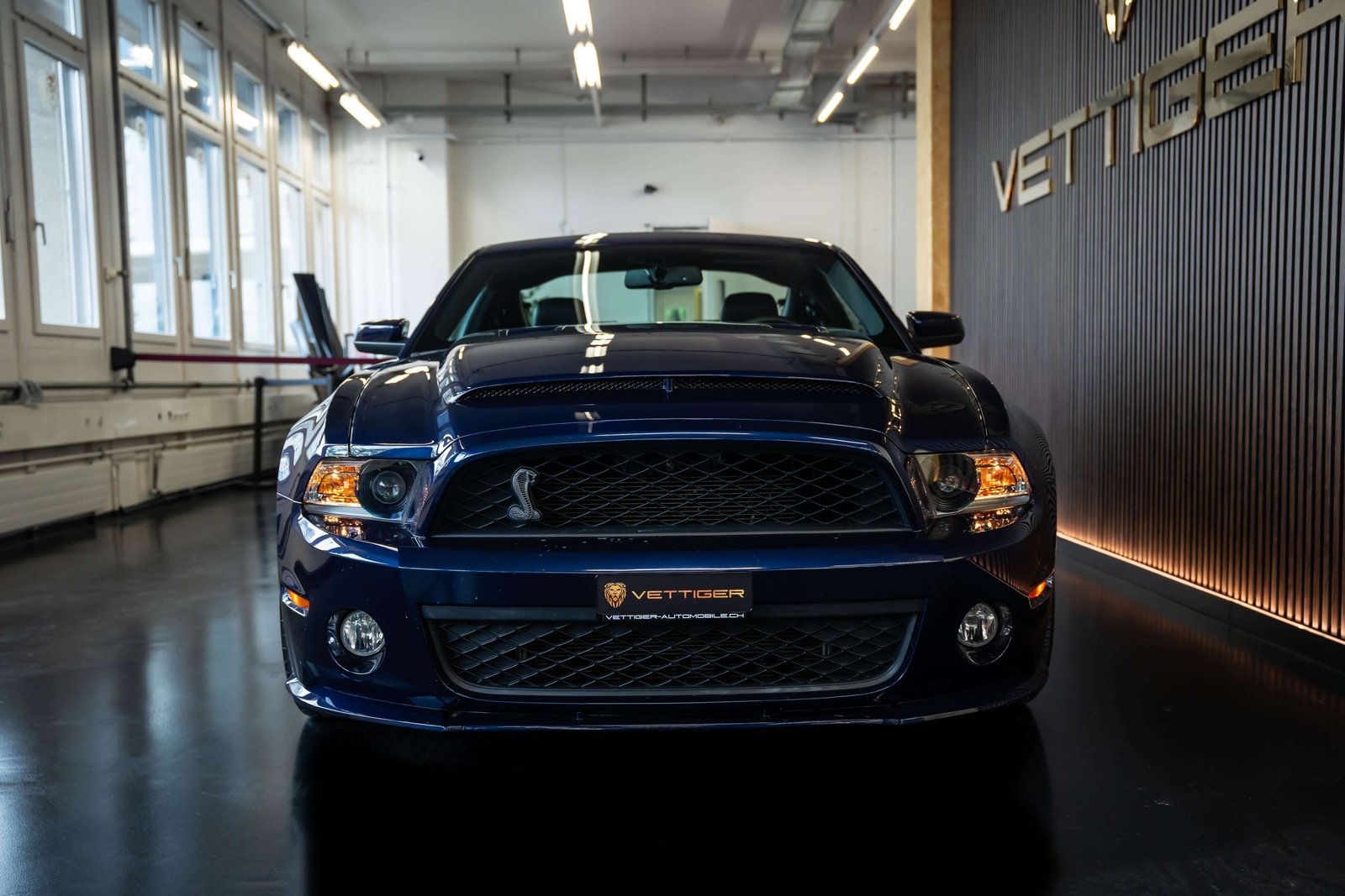 FORD MUSTANG Shelby GT 500 SVT, Essence, Occasion / Utilisé, Manuelle - 3