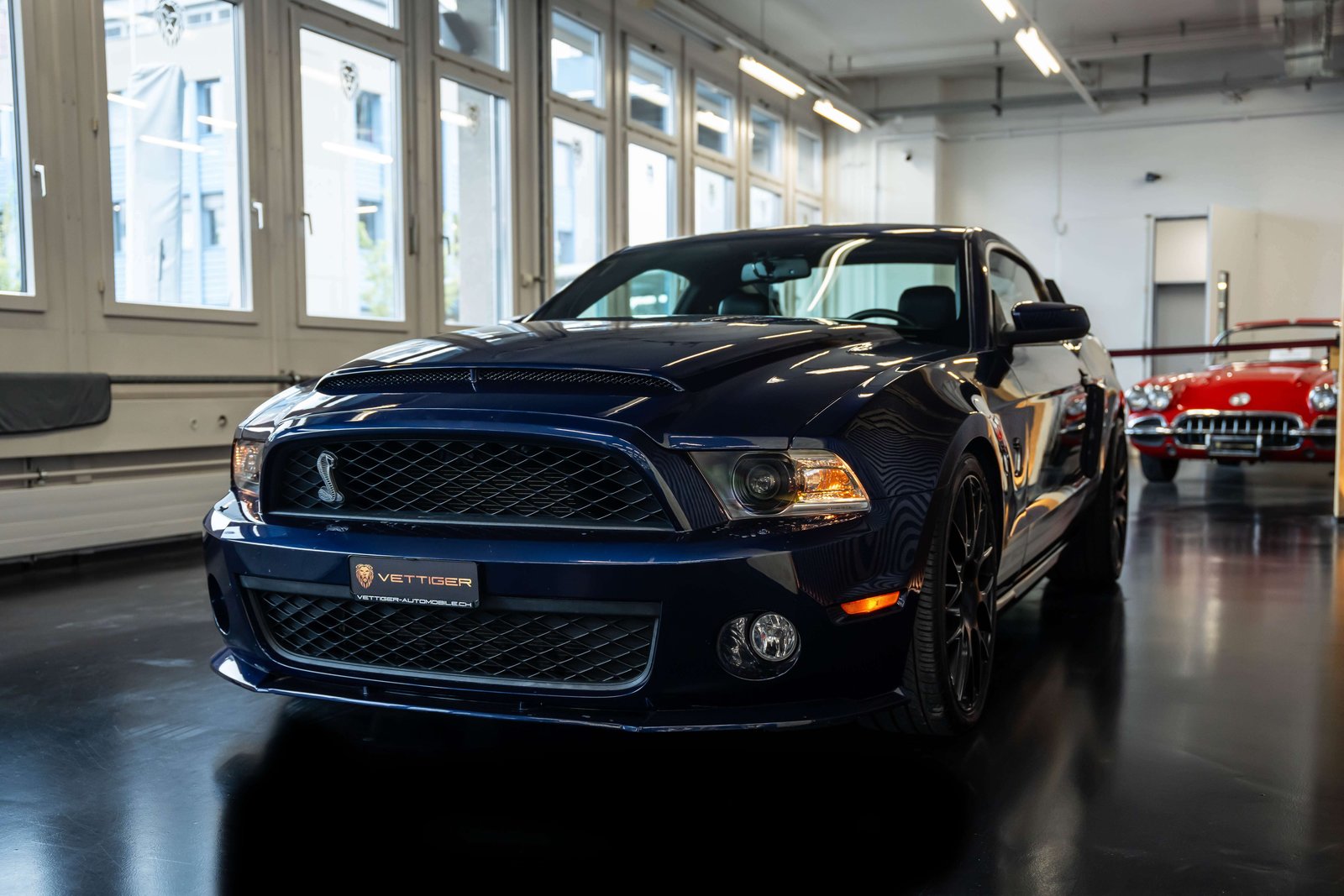 FORD MUSTANG Shelby GT 500 SVT, Essence, Occasion / Utilisé, Manuelle - 4