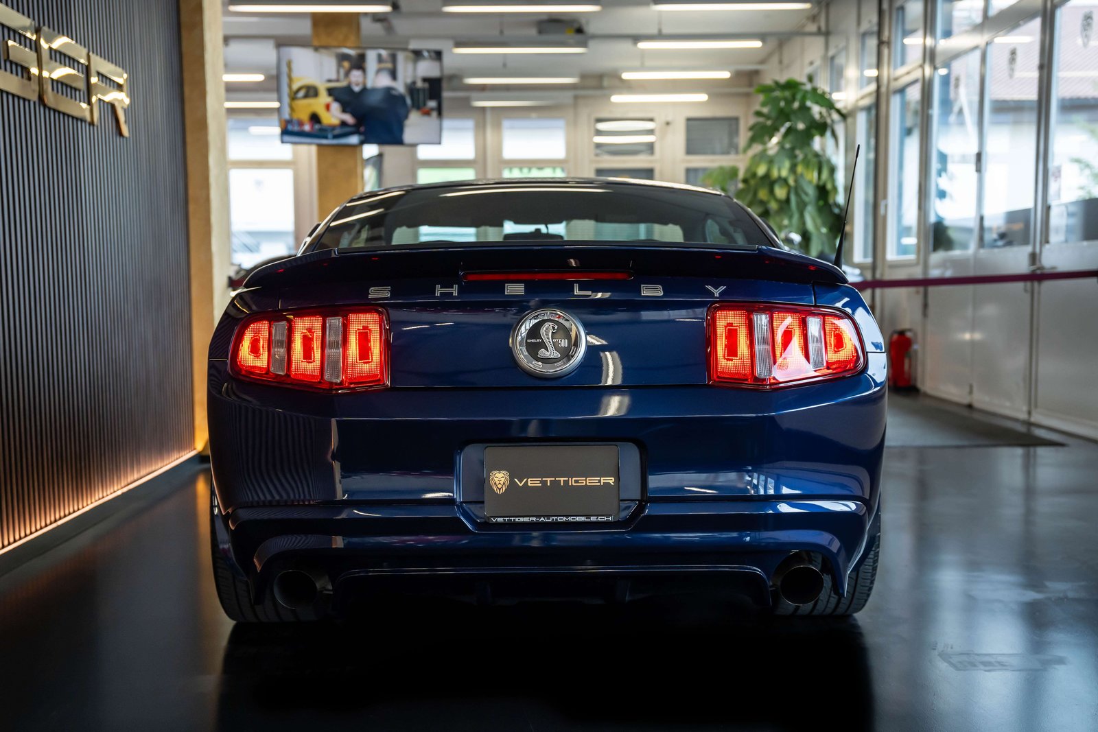 FORD MUSTANG Shelby GT 500 SVT, Essence, Occasion / Utilisé, Manuelle - 6