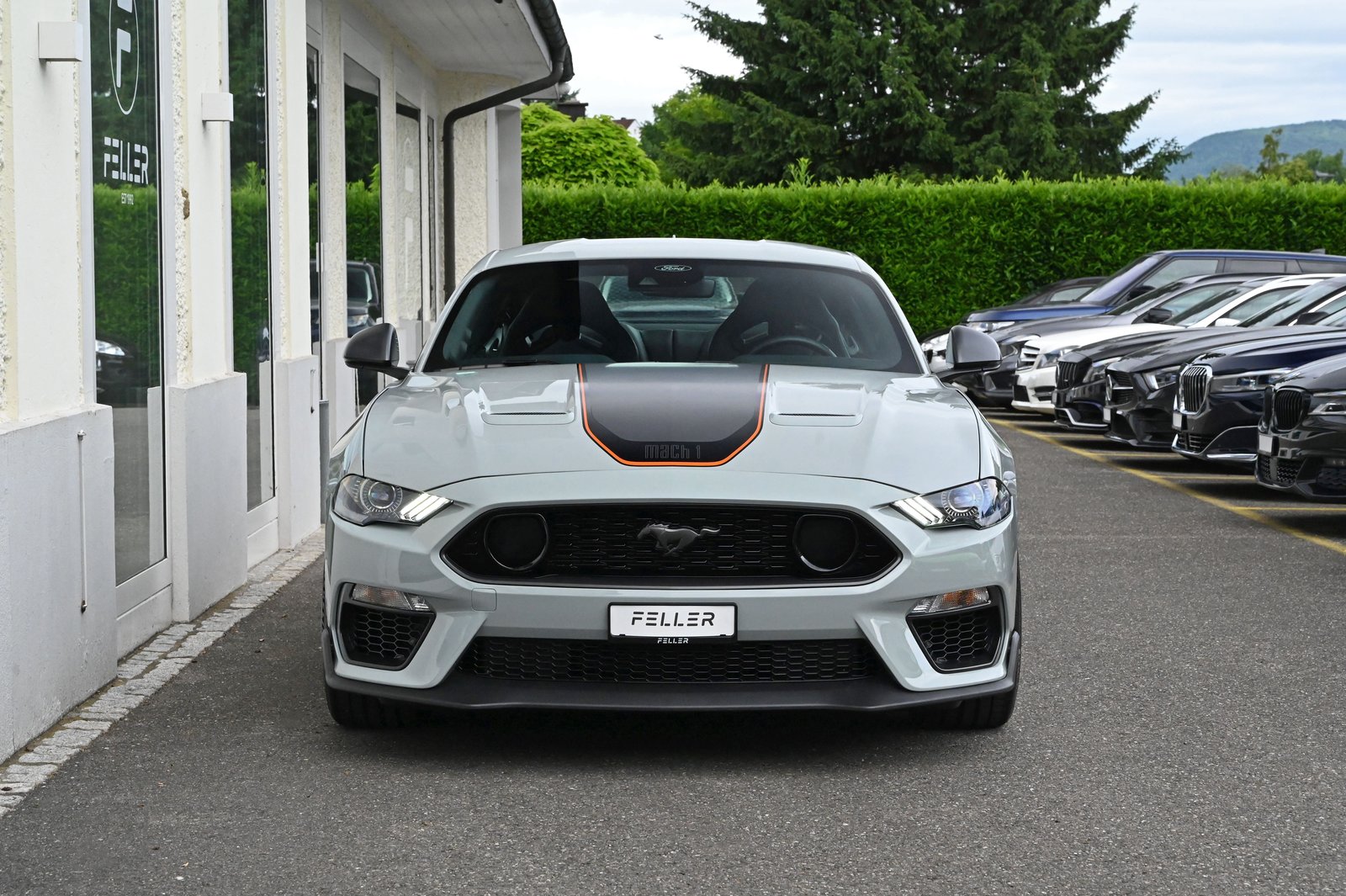 FORD Mustang Fastback 5.0 V8 Mach 1, Benzin, Occasion / Gebraucht, Handschaltung - 3
