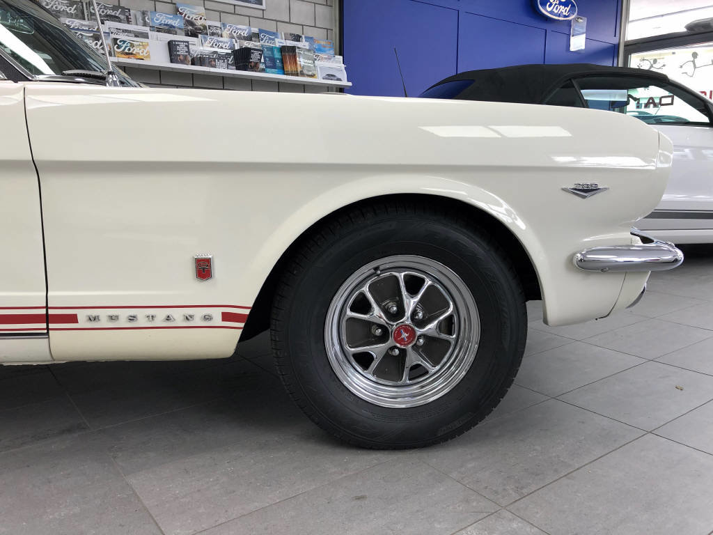 FORD MUSTANG V8, Benzina, Occasioni / Usate, Automatico - 5