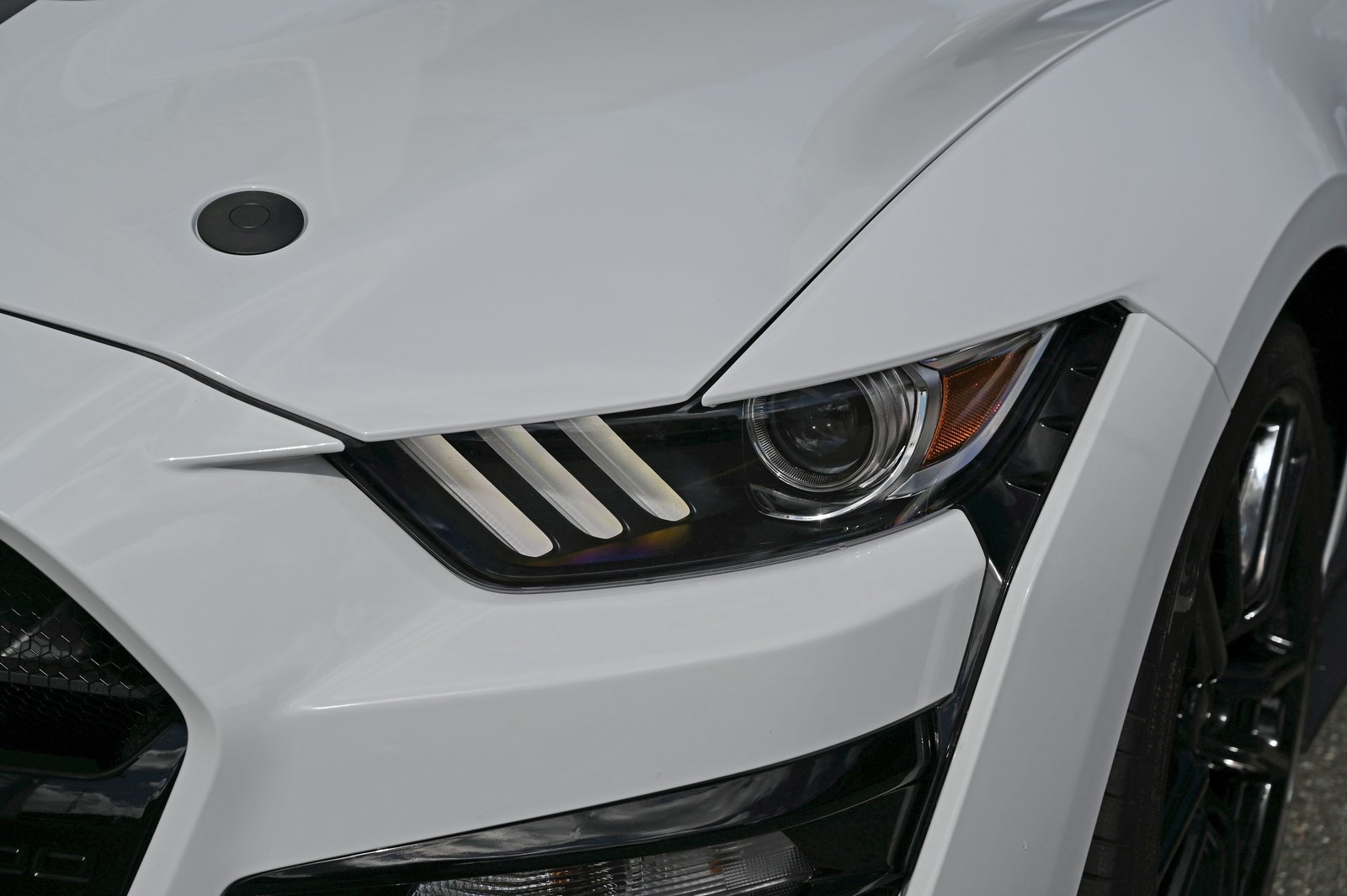 FORD Mustang Shelby GT500 Recaro, Essence, Occasion / Utilisé, Automatique - 5