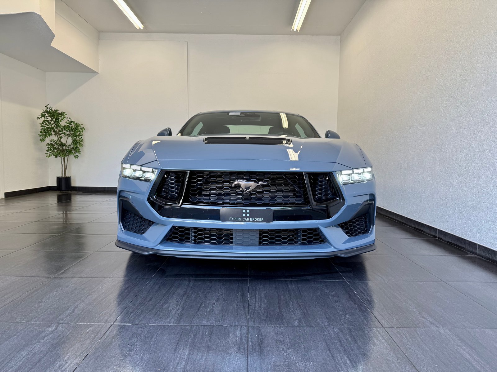 FORD Mustang Fastback 5.0 V8 GT Automat, Essence, Occasion / Utilisé, Automatique - 3