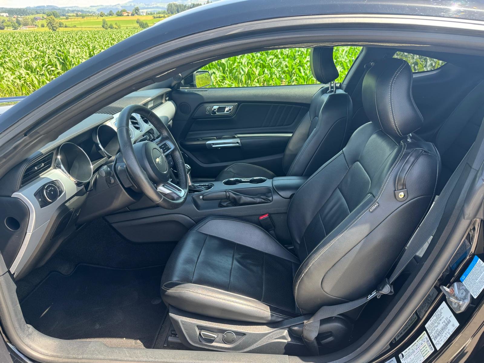 FORD Mustang Fastback 5.0 V8 GT Automat, Essence, Occasion / Utilisé, Automatique - 7