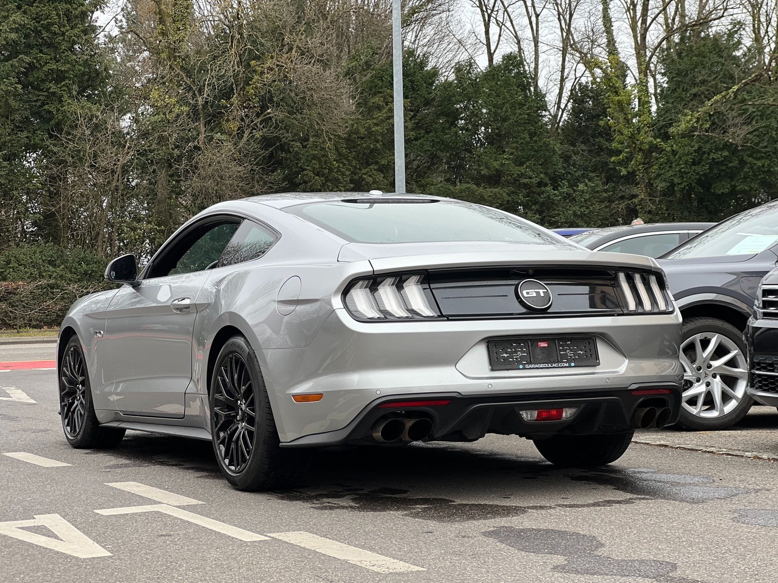FORD Mustang Fastback 5.0 V8 GT 55 Years Automat, Essence, Occasion / Utilisé, Automatique - 5