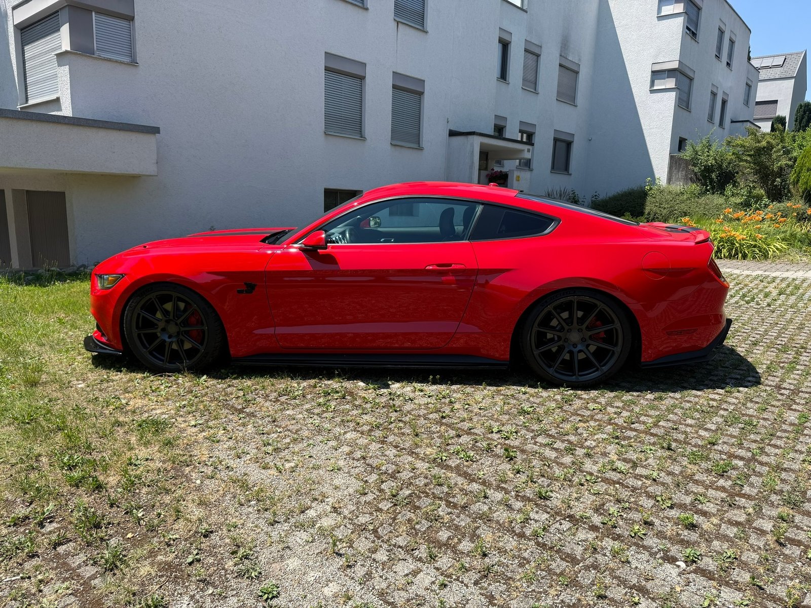 FORD Mustang Coupé 5.0 V8 GT, Benzina, Occasioni / Usate, Automatico - 2