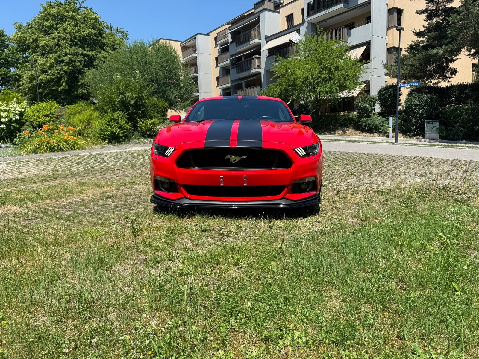 FORD Mustang Coupé 5.0 V8 GT, Benzina, Occasioni / Usate, Automatico - 3