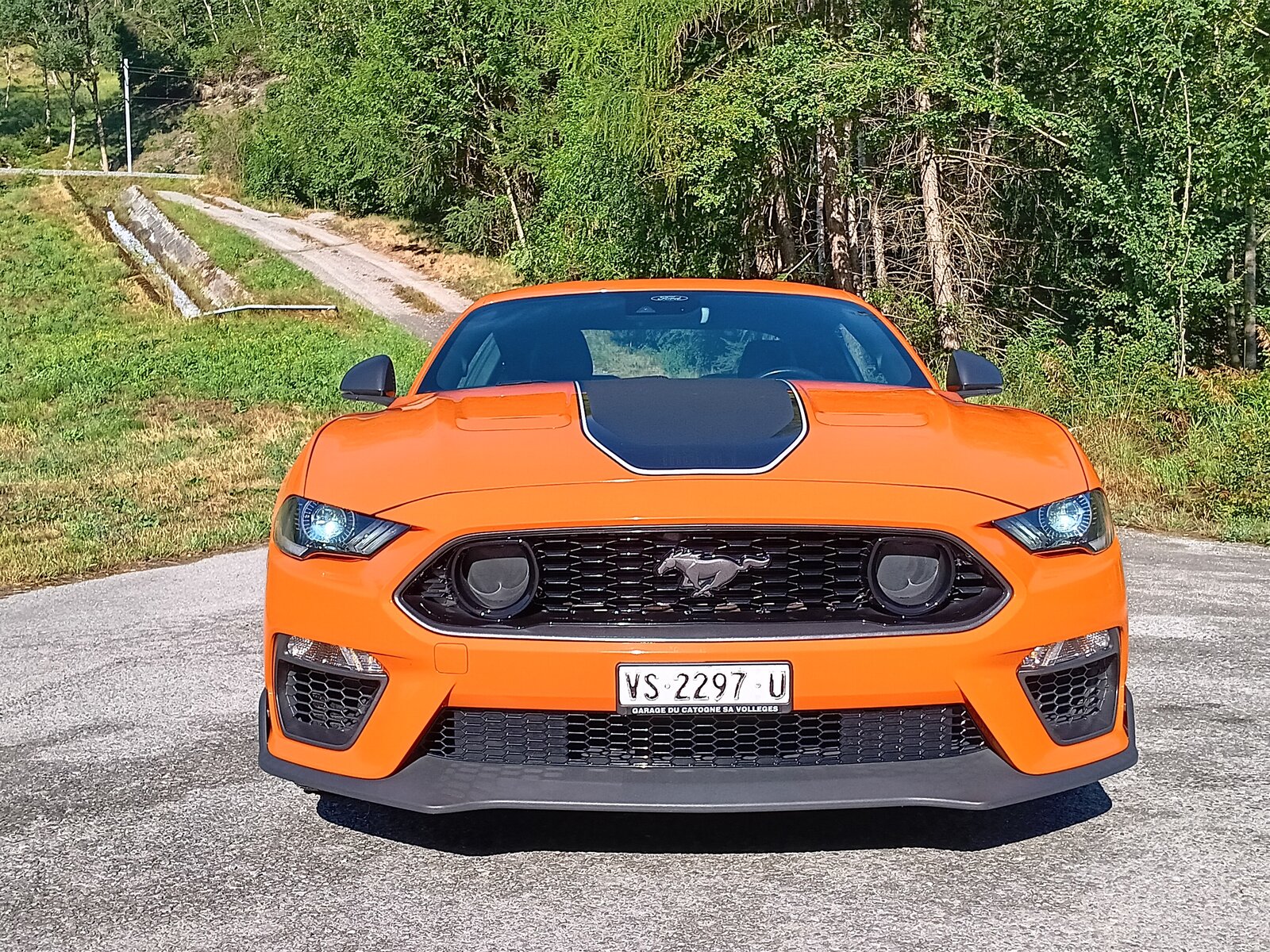 FORD Mustang Fastback 5.0 V8 Mach 1 Automat, Benzin, Occasion / Gebraucht, Automatik - 5