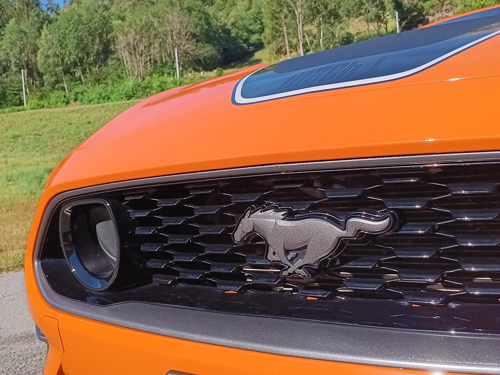 FORD Mustang Fastback 5.0 V8 Mach 1 Automat, Benzin, Occasion / Gebraucht, Automatik - 6