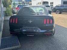 FORD Mustang 3.7, Occasioni / Usate, Automatico - 4