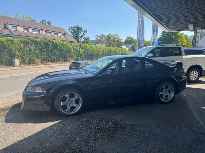 FORD Mustang Cobra SVT 10.Anniversary, Occasion / Gebraucht