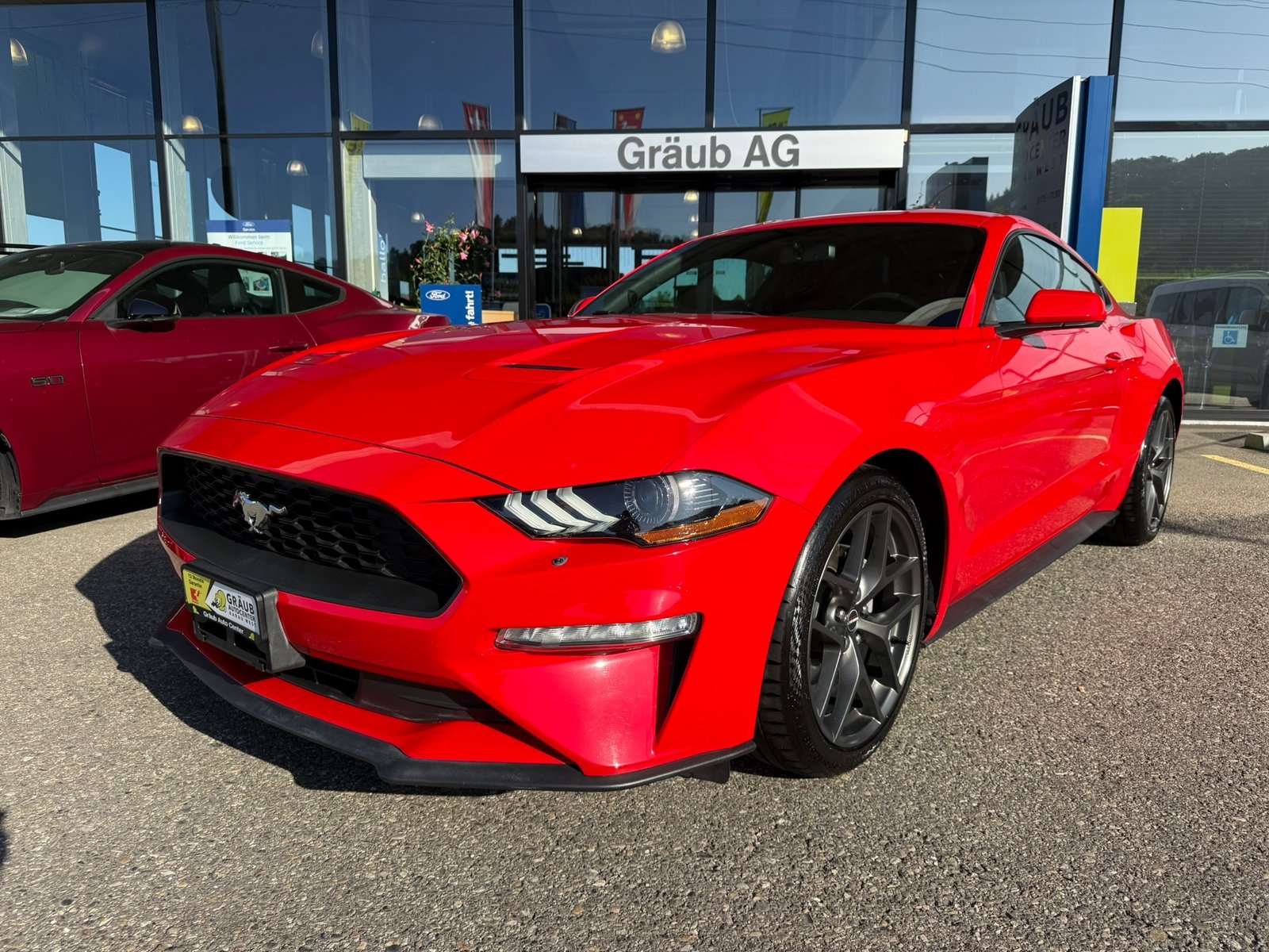 FORD Mustang Fastback 2.3 Automat - US IMPORT / sehr gepfleg