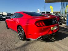 FORD Mustang Fastback 2.3 Automat - US IMPORT / sehr gepfleg, Benzina, Occasioni / Usate, Automatico - 5