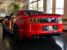 FORD MUSTANG Shelby GT 500 SuperSnake, Benzin, Occasion / Gebraucht, Handschaltung - 4