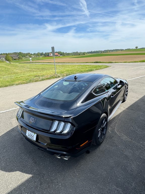 FORD MUSTANG 5.0 V8 Mach 1, Essence, Occasion / Utilisé, Automatique - 7