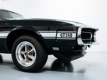 FORD MUSTANG Cobra Shelby GT 350 Fastback*Original Shelby Signat, Petrol, Classic, Manual - 3