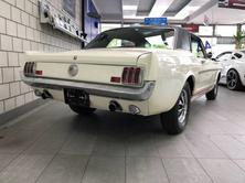FORD MUSTANG V8, Benzina, Occasioni / Usate, Automatico - 6