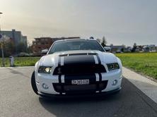 FORD MUSTANG Shelby GT 500, Essence, Occasion / Utilisé, Manuelle - 2