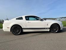 FORD MUSTANG Shelby GT 500, Benzina, Occasioni / Usate, Manuale - 4