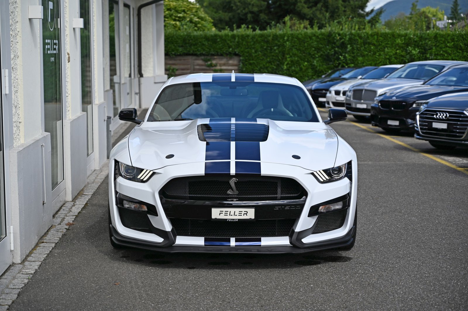 FORD Mustang Shelby GT500 Recaro, Benzina, Occasioni / Usate, Automatico - 3