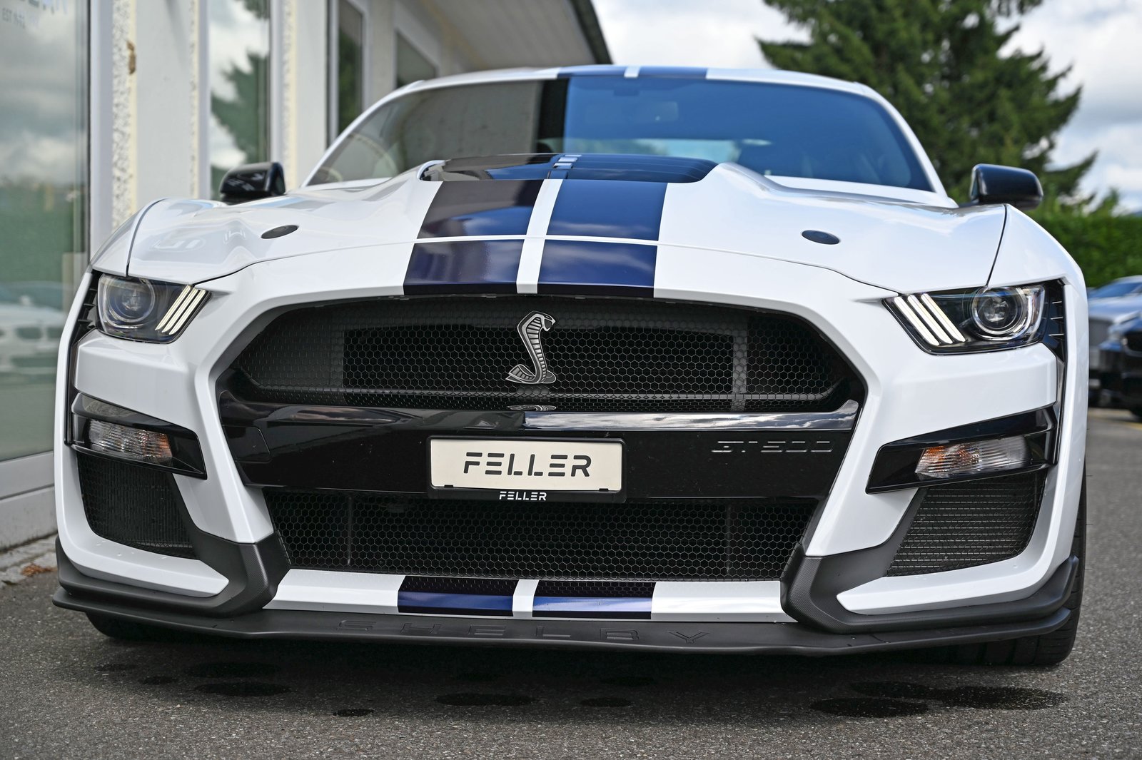 FORD Mustang Shelby GT500 Recaro, Benzina, Occasioni / Usate, Automatico - 4
