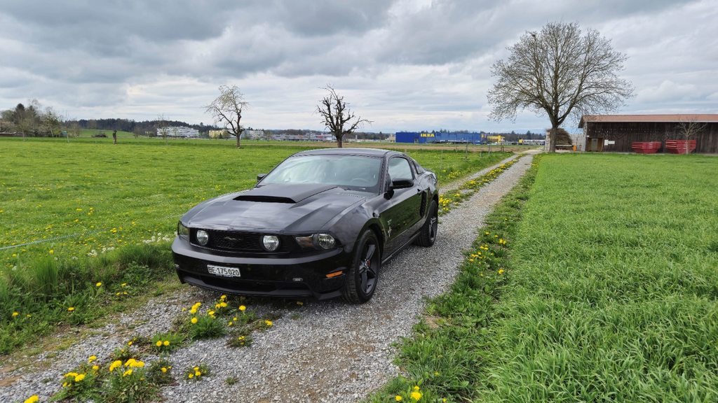 FORD GT Premium, Benzina, Occasioni / Usate, Manuale - 3