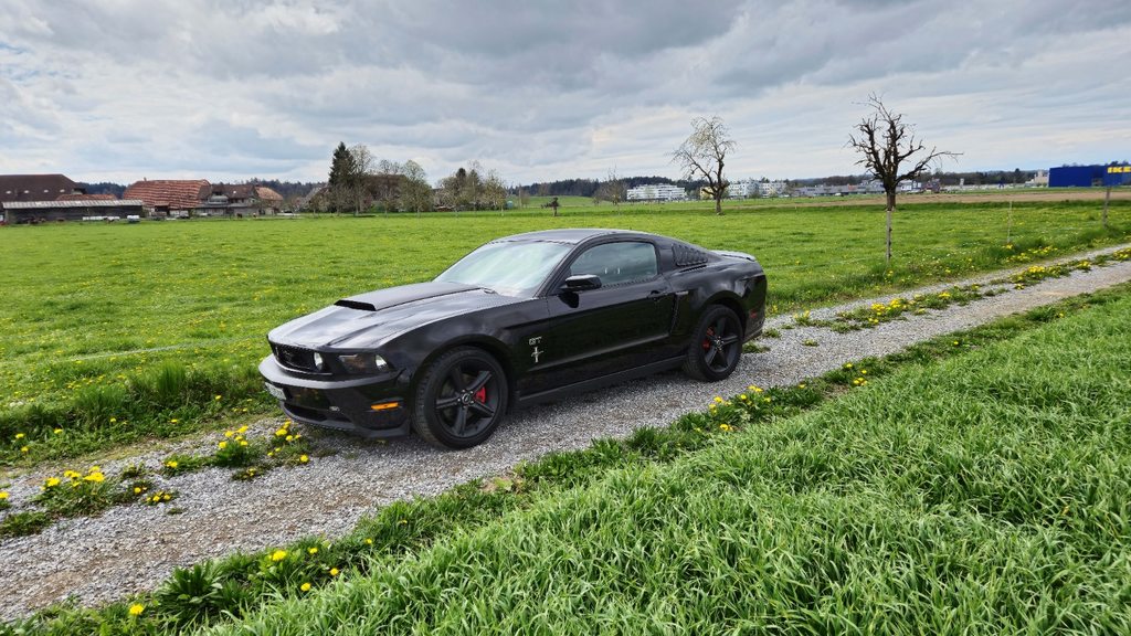 FORD GT Premium, Benzina, Occasioni / Usate, Manuale - 4