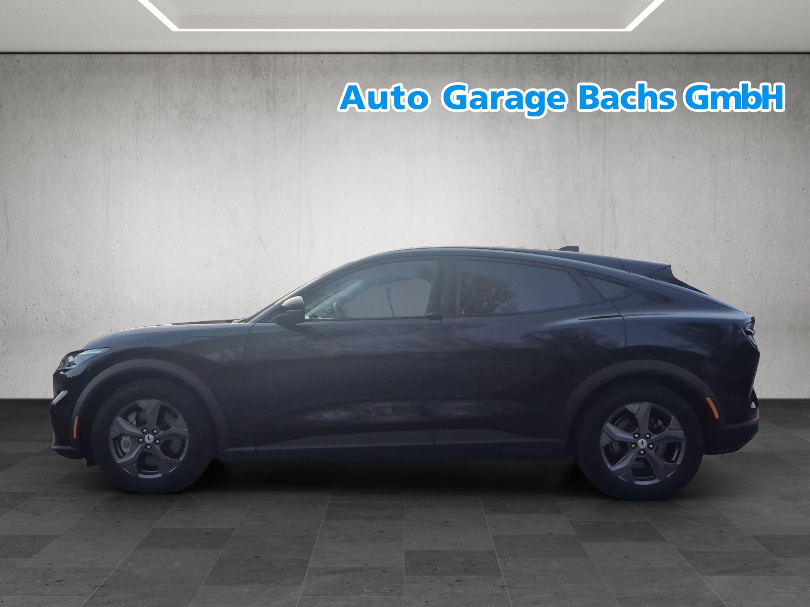 FORD Mustang MACH-E RWD 73 kWh, Elettrica, Occasioni / Usate, Automatico - 2