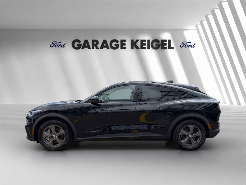 FORD Mustang Mach-E Extended, Électrique, Occasion / Utilisé, Automatique - 2