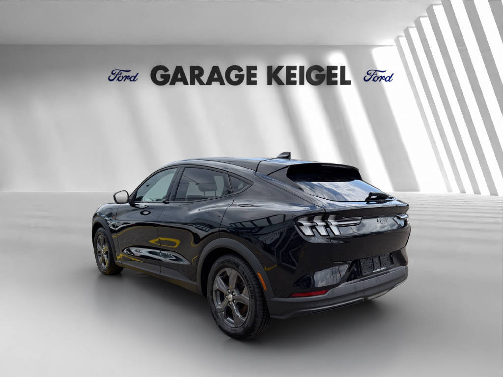 FORD Mustang Mach-E Extended, Électrique, Occasion / Utilisé, Automatique - 3