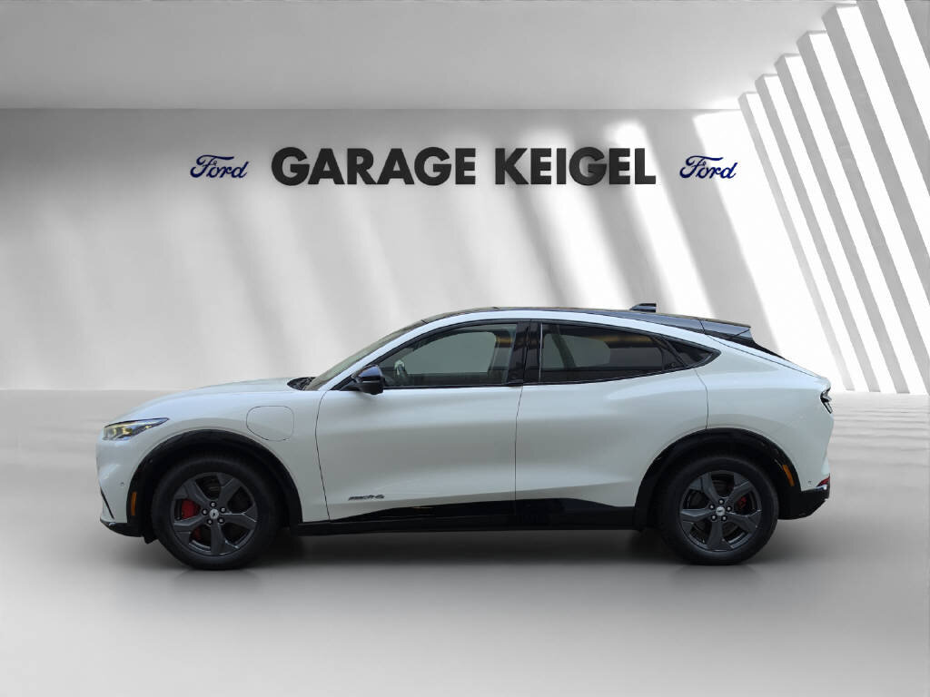 FORD Mustang Mach-E Standard AWD, Électrique, Occasion / Utilisé, Automatique - 2